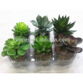 Home decorative Artificial mixed Mini succulent plant pvc potted succulent plant with different styles